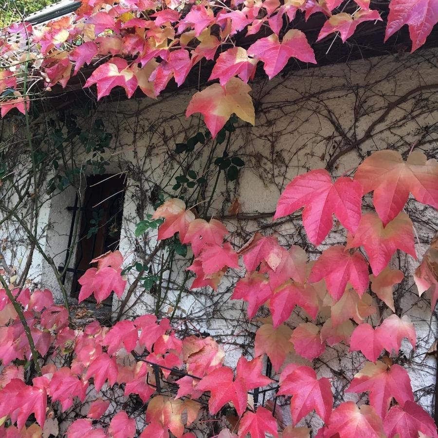 Un Coin De Foret Courmas Exterior foto